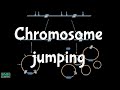 Chromosome Jumping | Chromosome Walking |