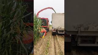 #Silage cutter#Self propelled forage harvester#Maize harvester price