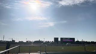 2025年JRA新年最初のレースの本馬場入場　2025年1月5日中京競馬場