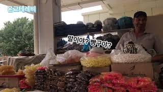 우즈베키스탄 전통 시장에는 뭐가 있을까요?시욥 /시압 바자르 1편 _SIYOB / SIAB  bazzar Uzbekistan traditional market Part 1 한글자막