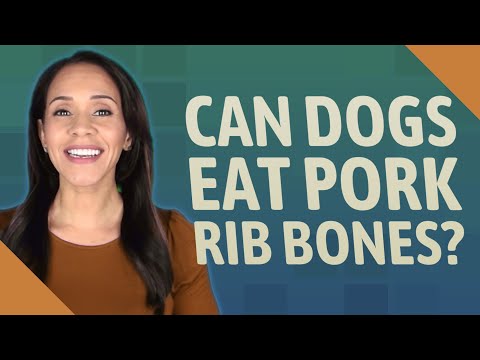 Can you give dogs pork bones?