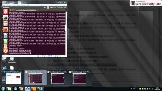 TCP SYN Flood Lab