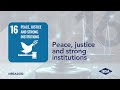 #IBSA2030. SDG 16 – Peace, justice and strong institutions (ENG)