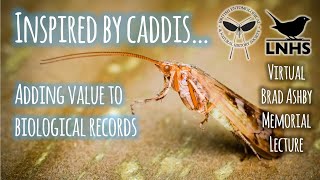 Inspired by Caddis... Adding Value to Biological Records (2020)