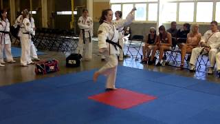 Alicia Allen - 2011 Meet The New Grandmaster - 3rd Place WIN - Traditional Form - Chung Sung