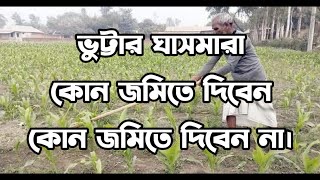 কোন ভুট্টার ক্ষেতে আগাছানাশক ব্যবহার করা দরকার নেই আর কোন ক্ষেতে ব্যবহার করবেন।