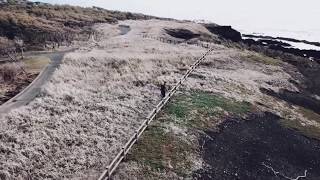 ドローン撮影　伊豆大島