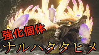 【MHRISE】雷神再臨！強くなって帰ってきた強化個体ナルハタタヒメ！【モンハンライズ】