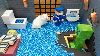 Hamster Vs Minecraft Maze Challenge | Hamster Life