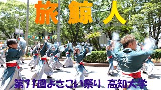 【4K】旅鯨人★第71回よさこい祭り/高知大学/2024.08.11/LumixS5Ⅱ