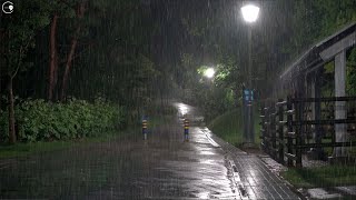 Heavy rain in the park at night, forget insomnia and instantly fall asleep, sleep white noise ASMR