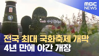 전국 최대 국화축제 개막..4년 만에 야간 개장 (2023.10.27/뉴스데스크/MBC경남)