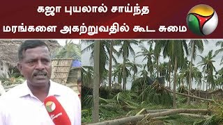 கஜா புயலால் சாய்ந்த மரங்களை அகற்றுவதில் கூட சுமை | #GajaCyclone