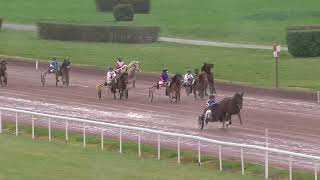 Avenches/25.03.2023/Poneys Nordiques