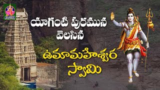 యాగంటి పురమున వెలసిన ఉమా మహేశ్వర స్వామి | #yaganti | #lordshiva | #god | Sri Lakshmi Devotionals