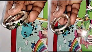 Pacha Guruvinda ginjalu silver test || Call me Guru 9158115450