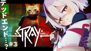 【stray 第3回】もうZURKに会いたくない【新人Vtuber/天望りく】