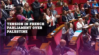 French MP suspended for waving Palestinian flag in parliament