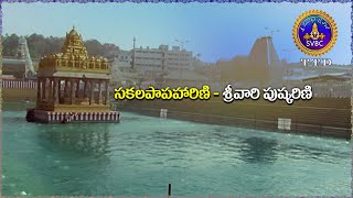 సకలపాపహారిణి - శ్రీవారి పుష్కరిణి || SVBC TTD