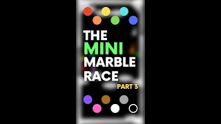 The Mini Marble Race (Part 3/11)