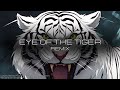 Eye of The Tiger | Survivor (REMIX by Sweeptrack)
