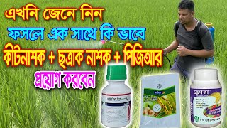 কীটনাশক, ছত্রাকনাশক, PGR, এক সাথে সঠিক ব্যবহারের নিয়মএবং কিভাবে  মিশালে ক্ষতি হয় জেনে নিন ।ধান চাষ