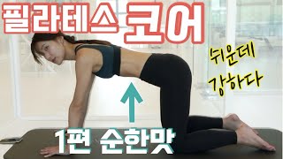 단계별 코어운동 1-4단계 (허리강화) 코어 약한분들 이것부터!