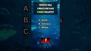 Test Your General Knowledge Fun Quiz With Surprising Facts
