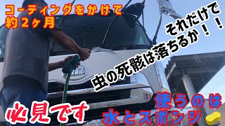 【トラック洗車】洗車を素早くしたい人必見。コーティングかけて2ヶ月。虫が簡単に取れる⁈