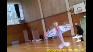 Techone Power EPS F3P RC airplane (Hobbyking Power)  dancing indoor