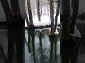 winter river ❄️ snowflake snowtime river winterseason winternature зима красиваязима