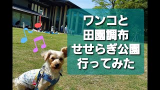 初めて滝を見たワンコの反応【ワンコ】【お出かけ】