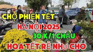 Chợ Phiên Tết Hà Nội 2025- Bất Ngờ Hoa Tết Rẻ Như Cho Tại Phiên Chợ Sa