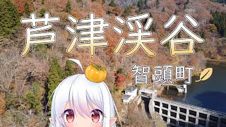 智頭町：芦津渓谷