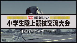 【2020年度“日清食品カップ” 都道府県大会】7月～11月大会　総合ダイジェスト