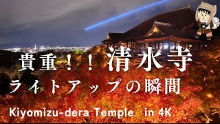 【4K】清水寺の紅葉ライトアップ 京都の紅葉｜2024年