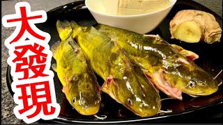 Yellowhead Catfish Soup with Tofu🦈Numerous Health Benefits👍治療胃寒症 ✅開胃健脾✅消除寒氣 ✅消除血液中的熱毒✅化痰止咳 🈶️利生長發育💪🏻