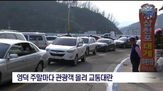 [포항MBC뉴스]영덕 주말마다 관광객 몰려 교통대란