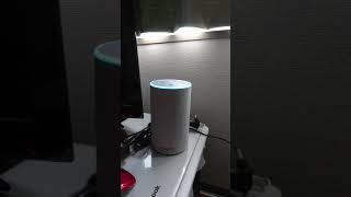 AmazonAlexaにおはようの挨拶_20181228