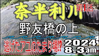 アユの友釣り 奈半利川(高知県) 野友橋の上 2024.8.3 第1話