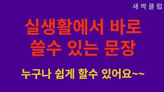 #114[일상생활영어] 생활 속 문장, 다양하게 활용하는 방법/바로 사용할 수 있는 실용적인 문장