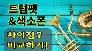 트럼펫 & 색소폰 차이점 비교해보기 / 색소폰 & 트럼펫 무엇이 쉬울까?