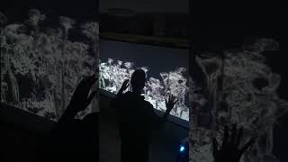 Touchdesigner: growing plants with hand gestures using motion detection