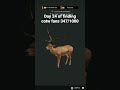 the hunter call of the wild diamond Axis deer #thehuntercallofthewild #cotw #gaming #xbox