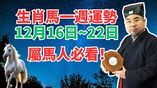 命理測算：屬馬人一週運勢（12月16日至22日），內含吉凶日，非看不可！ #生肖馬2024年運程 #生肖馬2024年運勢 #屬馬人2024年運程 #屬馬人2024年運勢