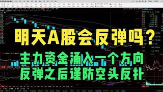 明天A股会反弹吗？主力资金涌入一个方向，反弹之后谨防空头反扑
