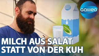 Neuartiges Lebensmittel: So entsteht Milch aus einem Salat | Galileo | ProSieben