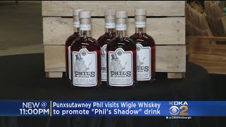 Punxsutawney Phil Visits Pittsburgh To Promote 'Phil's Shadow' Whiskey