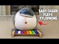 Cute Baby Shark Plays 