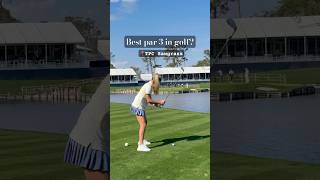 Best Par 3 In Golf